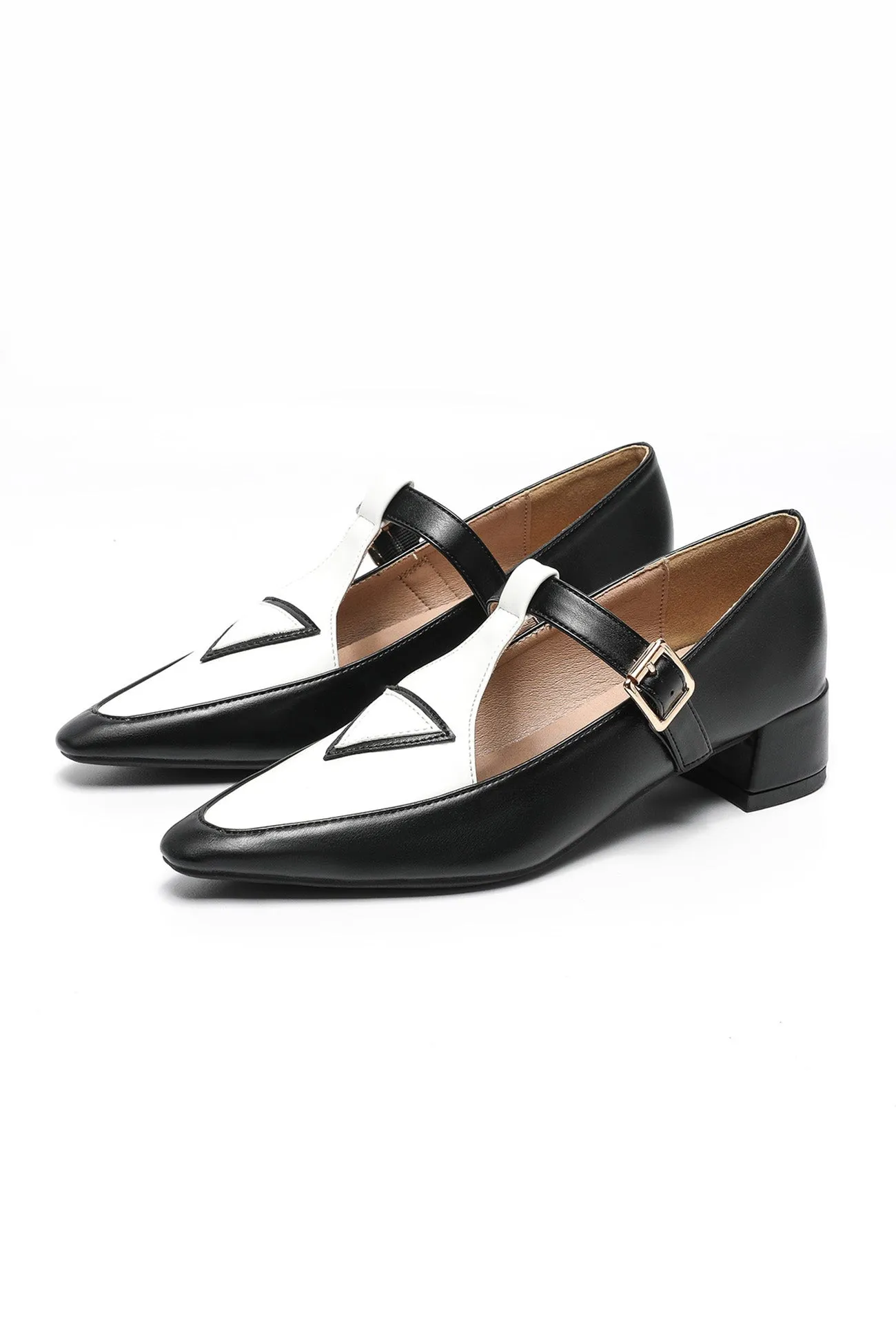 Amozae-Contrast Pointed Toe Mary Jane Shoes