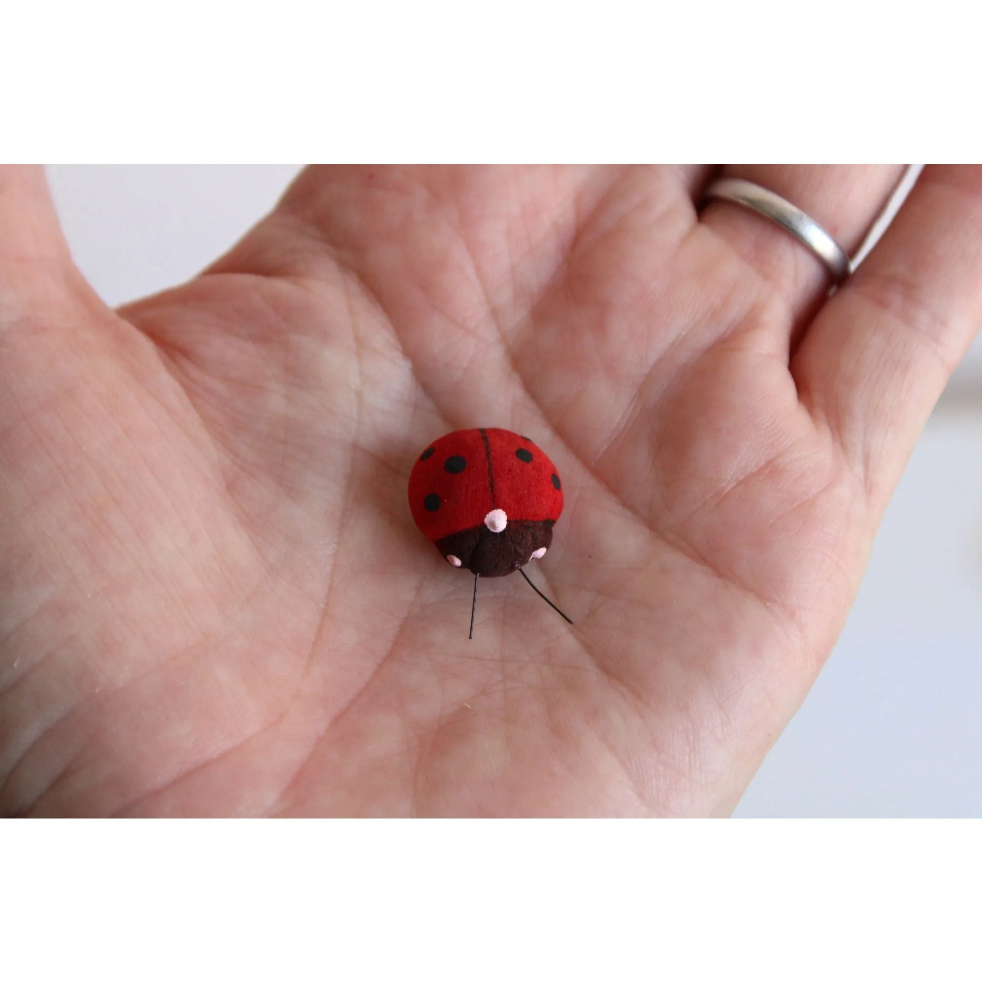 Small Ladybugs, Lot of Ten